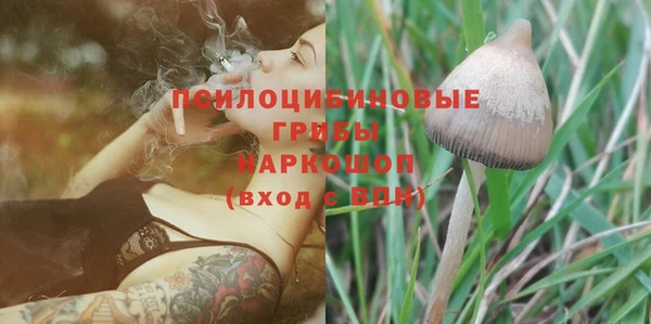 Альфа ПВП Абдулино