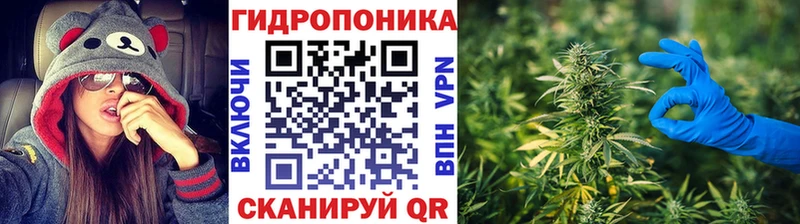 Каннабис AK-47 Староминская